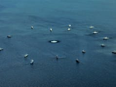 NATO forces destroy mines in Baltic region