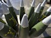 MoD to boost armed forces munitions production