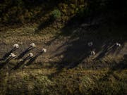 UK confirms landmine ban as NATO allies move to withdraw