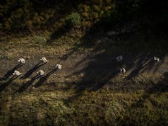 Exercise Cambrian Patrol begins