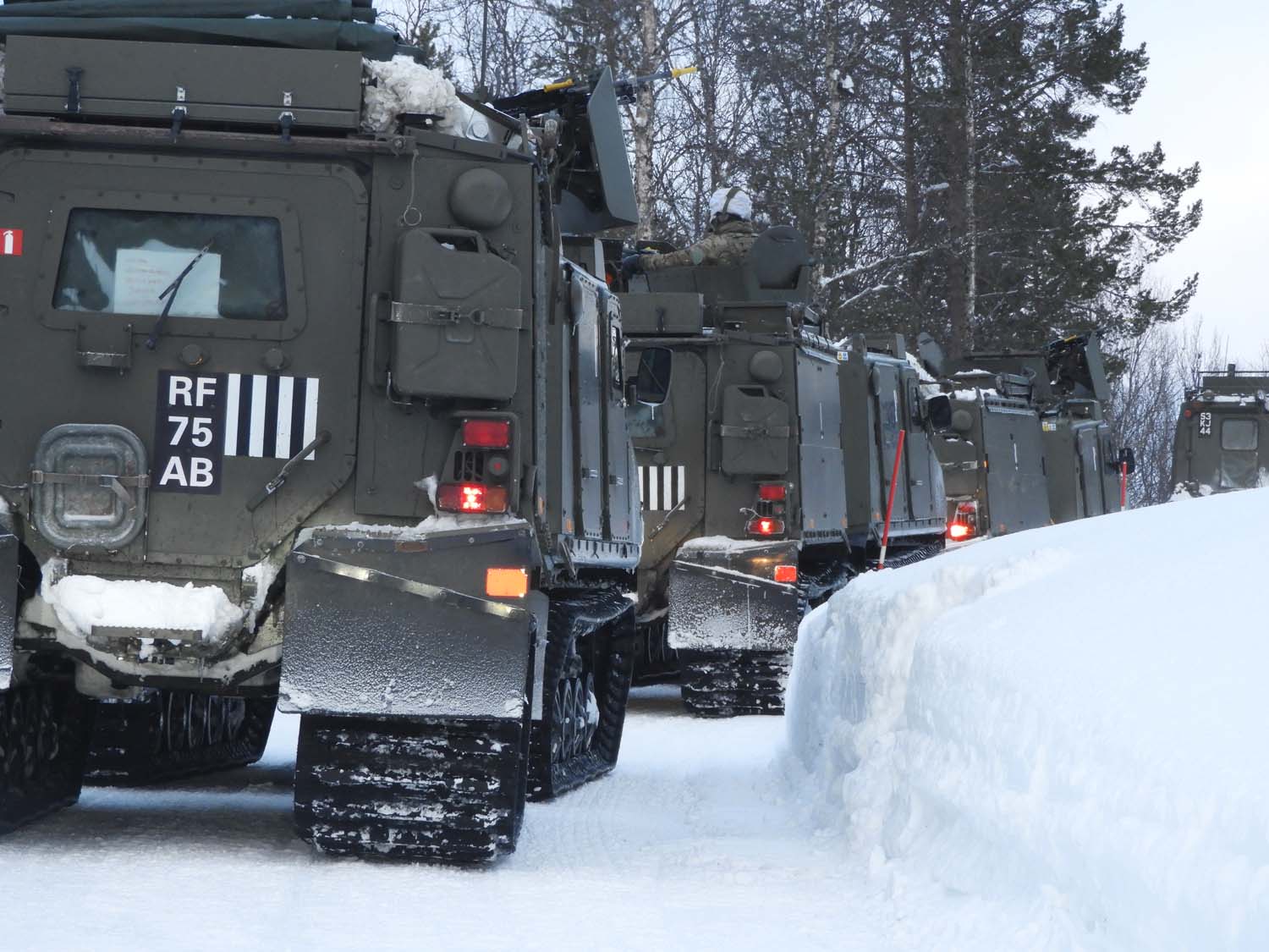 British Commandos deploy to Arctic to boost security - Vimarsana News
