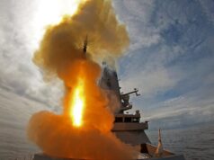 Sea Viper – A guide to the missile protecting the Red Sea