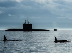 British firm aiming to support Polish submarine project