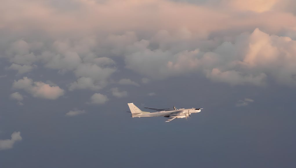 2025-02-04-em01--bear-h-right-side-4ifAs1.remini-enhanced