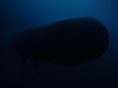 AI could leave subs with few places to hide