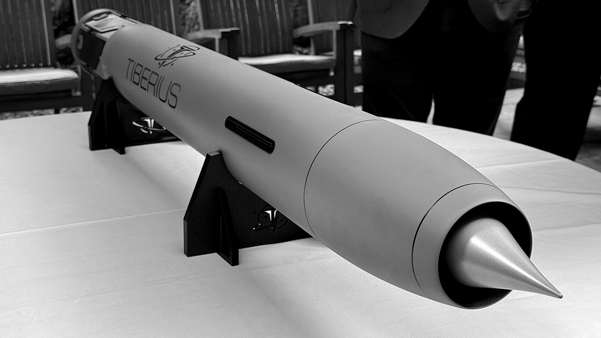 tib.jpg?auto=compress,format&crop=top&fi