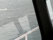 ‘Serious collision risk’ says report released on submarine near miss with ferry