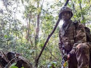 Parachute Regiment train for jungle warfare in Belize