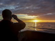 British warships escort 9 Russian vessels by UK coast