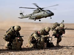 What is the role of the RAF Regiment?