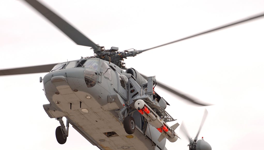 RS19988_Archerfish 02-lpr